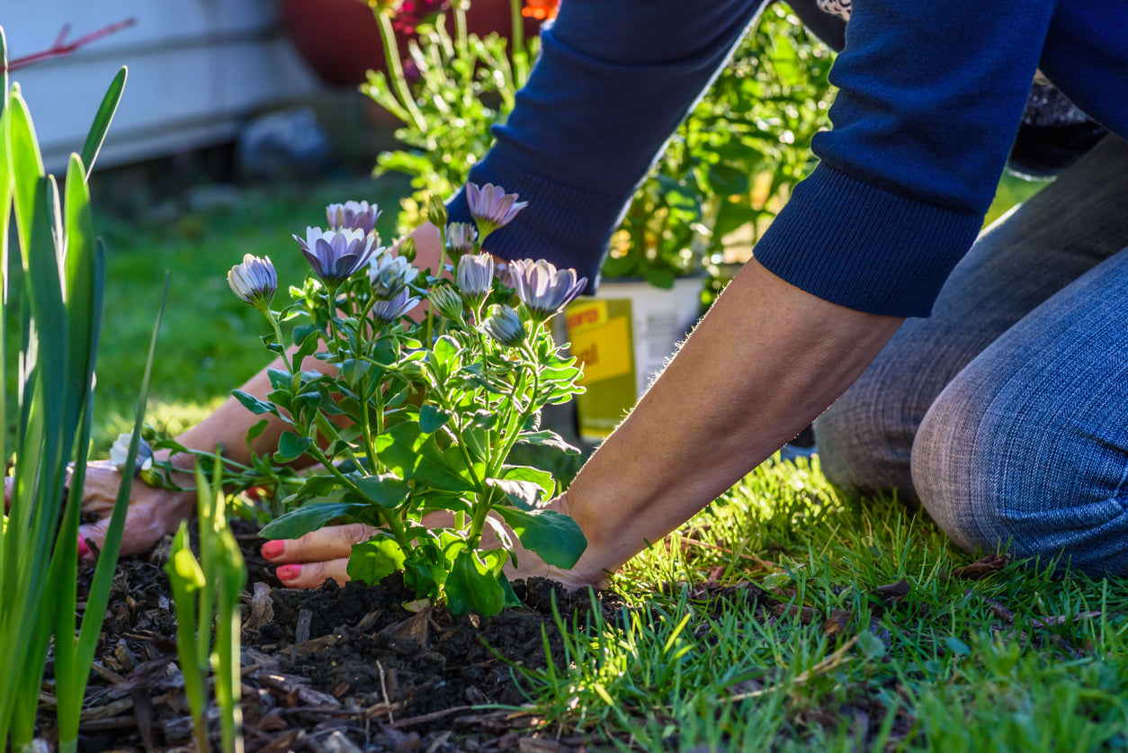 GARDENING FOR WILDLIFE