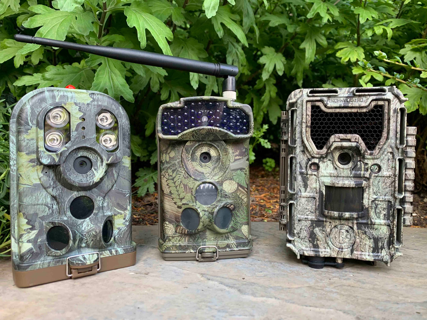 TRAIL CAMERA BRANDS