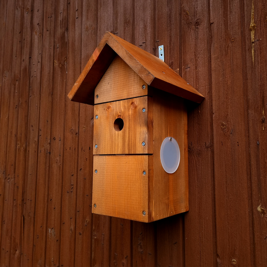 Wired Apex Bird Box Camera