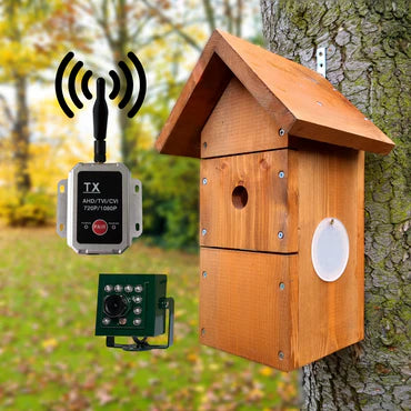 Apex Nest Box With WIRED Camera + Digital HD Wireless Transmitter & Receiver