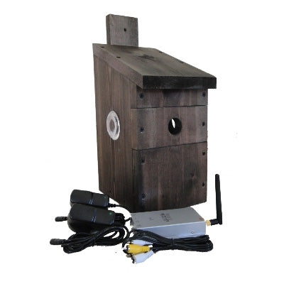 Bird Box Cameras (With a Nest Box)