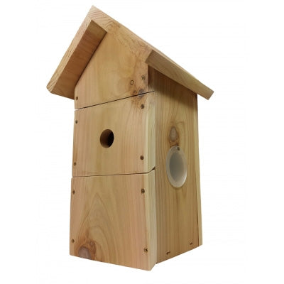 Camera Ready Nest Boxes