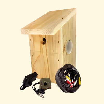 Premium Multi Bird Box Camera Systems Wired