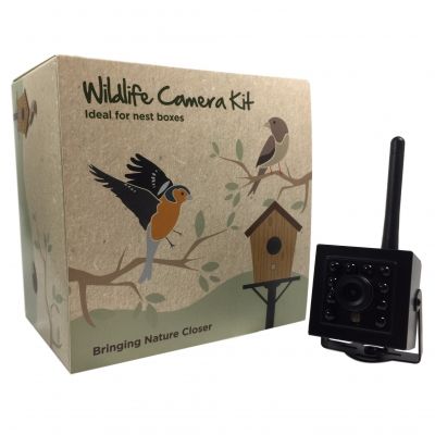 WiFi Bird Box Camera With HD SD Card Recording