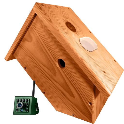 WiFi HD Side View Nest Box Camera System